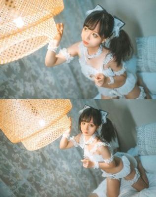 金燕子